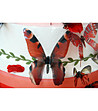 Комплект от 18 броя червени полупрозрачни пеперуди-0 снимка