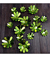 Комплект от 12 броя зелени декоративни цветя-3 снимка