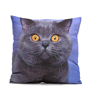 Декоративна възглавница British cat снимка