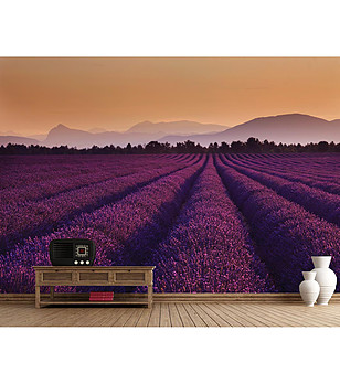 Фототапет за стена Lavender снимка