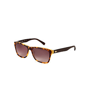 Unisex слънчеви очила в цвят хавана и черно Ellery снимка
