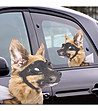Стикер за прозорец на кола Разходка с куче-1 снимка