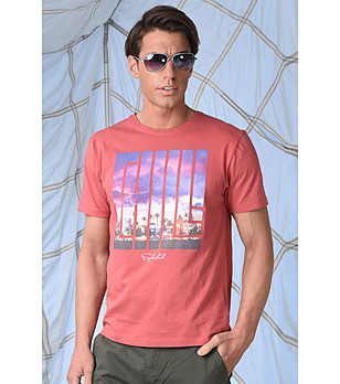 Мъжка памучна тениска с лого Alexander в червен нюанс снимка