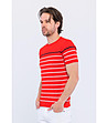 Червена мъжка тениска на райе в бяло и тъмносиньо Carlino-2 снимка