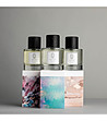Комплект от 3 парфюма Oud Gaiac, Le Marais и Rose Taif по 100 мл-0 снимка