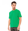 Мъжка памучна тениска в зелен цвят с надпис Chester-2 снимка