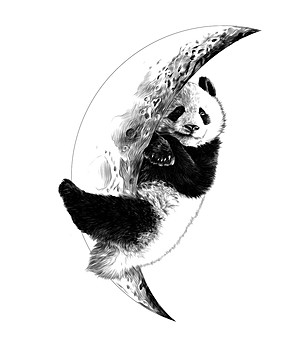 Декоративен стикер Sleeping panda снимка