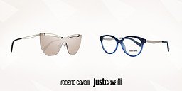 Just Cavalli,Roberto Cavalli - маркови детайли снимка