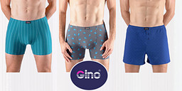 Gino - господата избират без колебание снимка