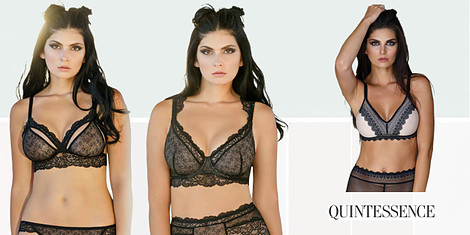 Quintessence - пленяваща страст от дантеласнимка