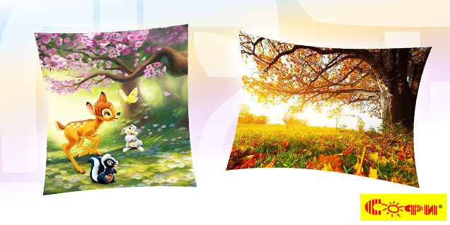 Софи - твоето специално одеяло снимка