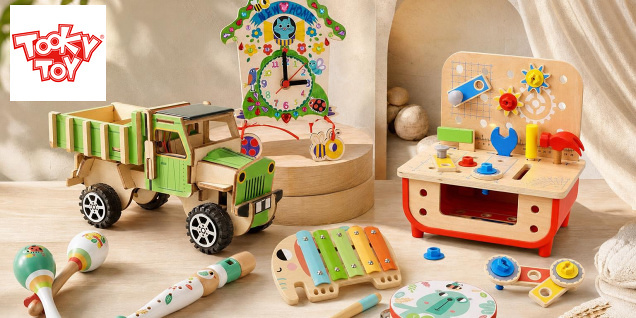 Образователни и занимателни игри Tooky Toys снимка