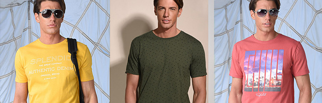 Splendid, Smart  & Biston - цветни тениски за силната половинка снимка