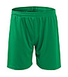 Детски къси панталонки в зелено Sami-0 снимка