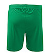 Детски къси панталонки в зелено Sami-1 снимка