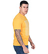 Жълта памучна мъжка тениска Edvin-2 снимка