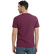 Памучна мъжка тениска в цвят бордо с щампа Aglai-1 снимка