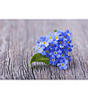 Постелка с принт Сини цветя 52х75 см-2 снимка