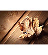 Постелка с принт Есенно листо 52х75 см-2 снимка