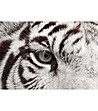 Постелка с принт Тигрово око 52х75 см-2 снимка