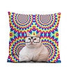 Декоративна възглавница с принт Котка с очила-0 снимка