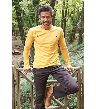 Мъжка памучна блуза в жълто Walery снимка