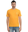 Жълта памучна мъжка тениска Ryan-0 снимка