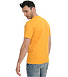 Жълта памучна мъжка тениска Ryan-1 снимка