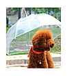 Прозрачен чадър за куче-0 снимка