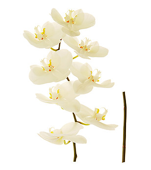Декоративен стикер за стена Orchid снимка