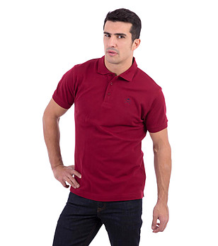Мъжка памучна блуза в цвят гранат Diego снимка