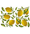 Декоративен стикер за стена Lemon-1 снимка