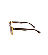 Unisex слънчеви очила в цвят хавана и черно Ellery-2 снимка