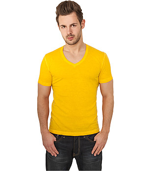 Жълта мъжка памучна тениска Don снимка