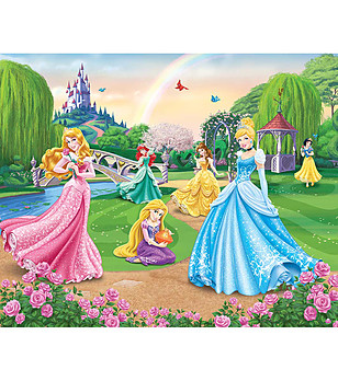 Детско пoларено одеяло Принцесите на Дисни 130х160 см снимка