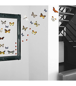Стикер за стена Пеперуди снимка