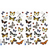 Стикер за стена Пеперуди-1 снимка