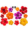 Декоративен стикер Хавайски цветя-1 снимка