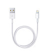 Бял USB към Lightning кабел за Apple iPhone и iPad-0 снимка