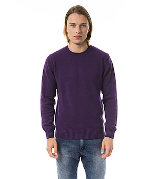 Лилав мъжки пуловер Sammy снимка
