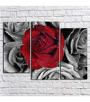 Декоративно пано Роза в червено снимка