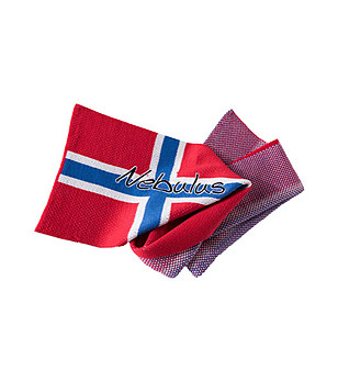 Шал с флага на Норвегия Terra снимка