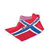 Шал с флага на Норвегия Terra-2 снимка
