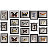 Декоративен стикер за стена Цветни пеперуди-0 снимка