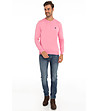 Мъжки памучен розов пуловер Archie-3 снимка