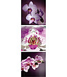Декоративен стикер Zen Orchidée-1 снимка