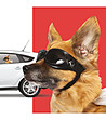 Стикер за прозорец на кола Разходка с куче-2 снимка