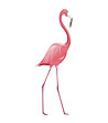 Декоративен стикер Фламинго-1 снимка