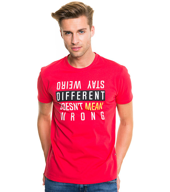Мъжка памучна тениска в червен нюанс Pavel снимка