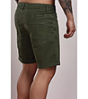 Зелени памучни мъжки къси панталони Anthony-2 снимка